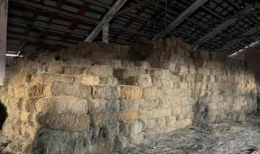 ЗАРЛАЛ ____   Хаваржилтын  бэлтгэл ажлын хүрээнд  Аймаг, сумын онцгой комиссоос малчин мал бүхий иргэдэд 40кг буюу 2 боодол өвс 1 уут тэжээлийг үнэ төлбөргүй өгч байна.            Жич: Малчид та бүхэн шуудайтайгаа ирнэ үү.   Холбоо барих дугаар : 86657435