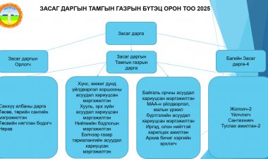 ЗАСАГ ДАРГЫН ТАМГЫН ГАЗРЫН БҮТЭЦ ОРОН ТОО 2025